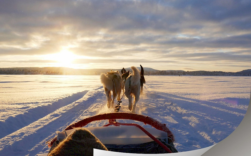 Inari / Talvi 2024