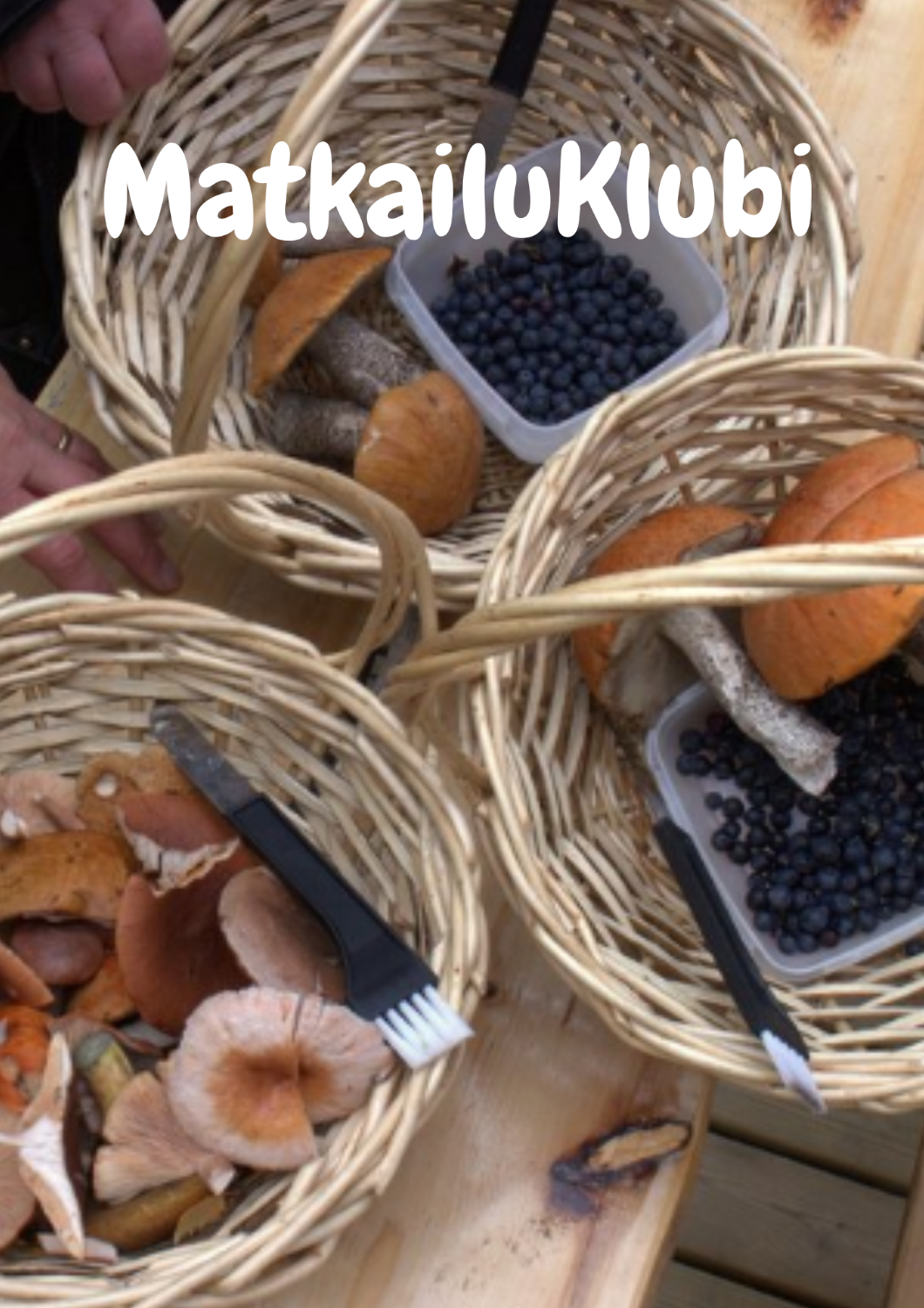 Marja- ja sieniretki -Inari
