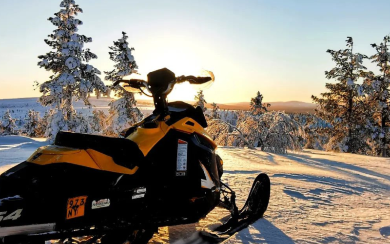 JÄÄMEREN SAFARI 2025/2026